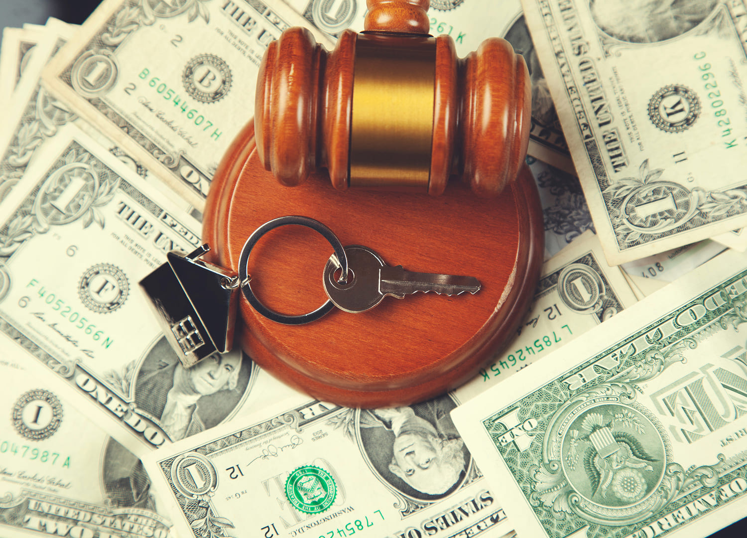 lawyers-and-law-firms-49